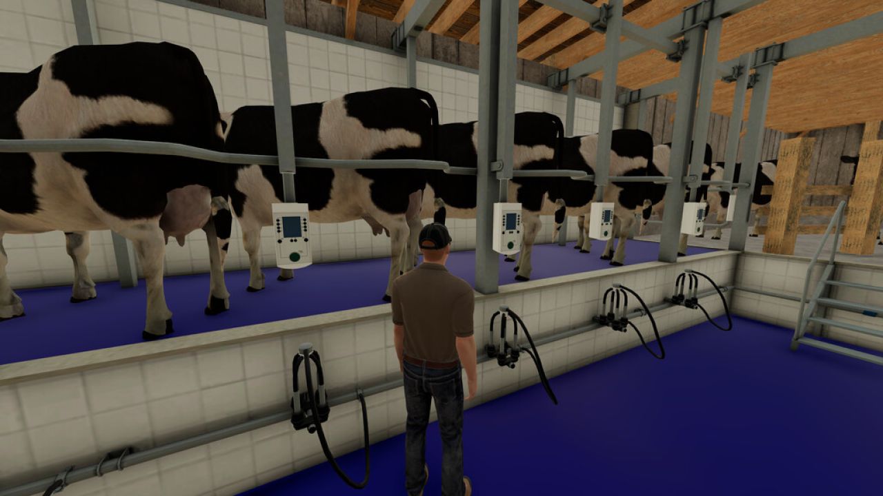 Master Dairy Cow Skills in Ranch Simulator 
