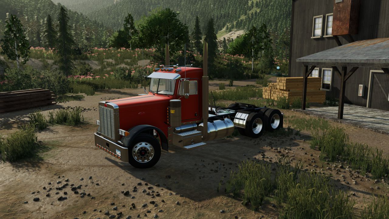 Peterbilt 379 2005