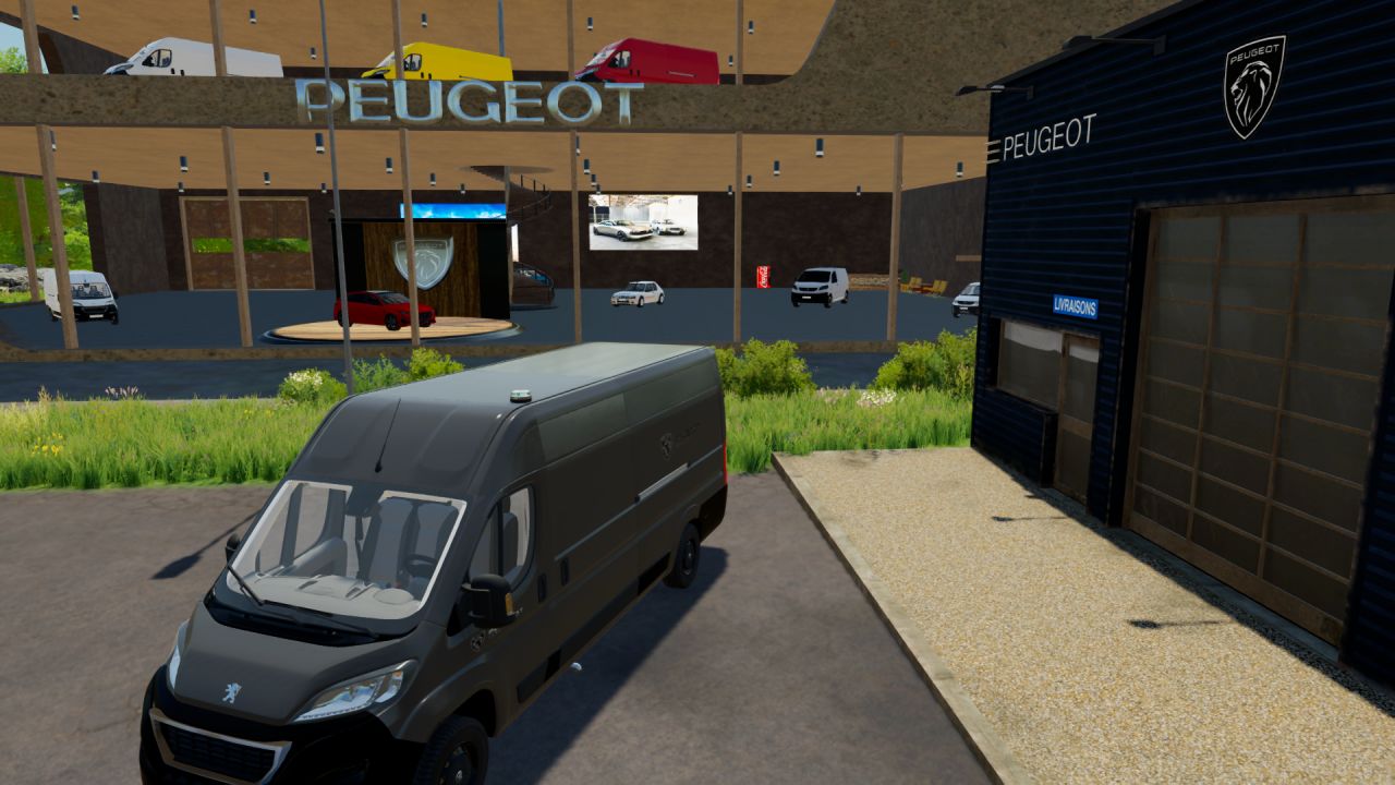 Peugeot Boxer (workshop)