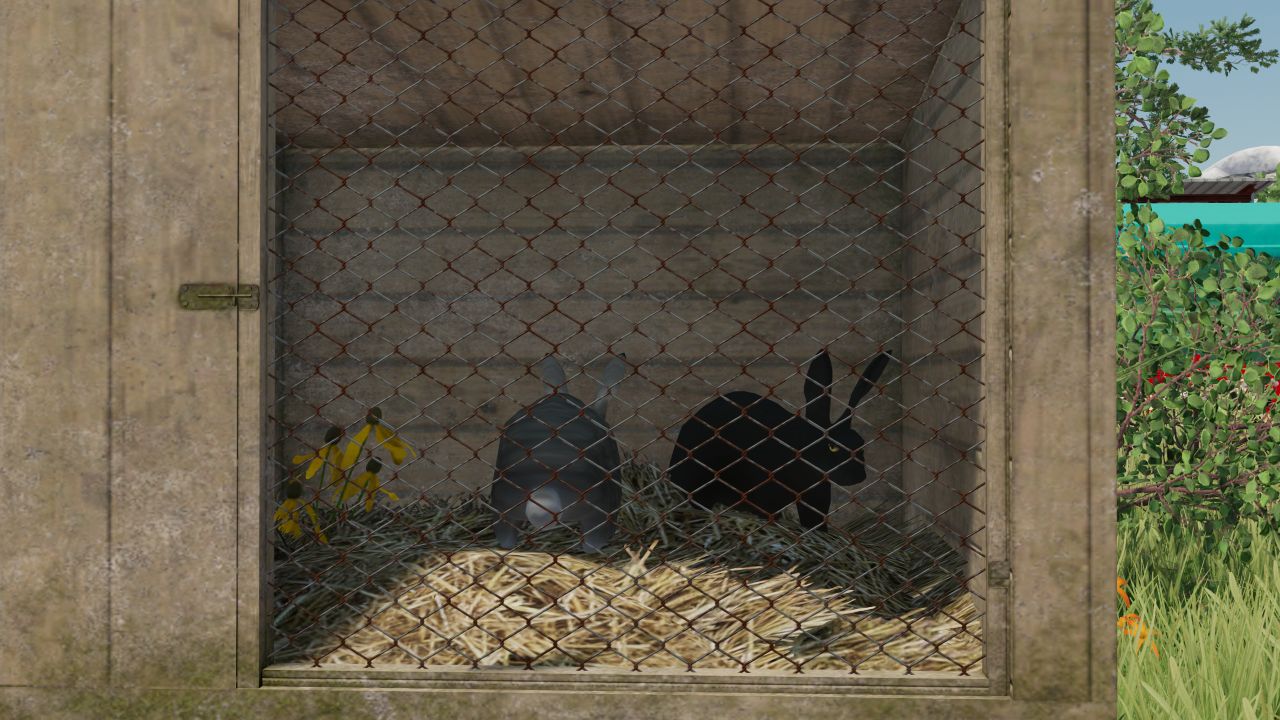 Polish rabbit cages