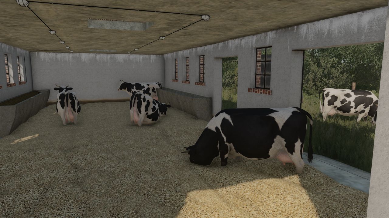 Obora z krowami i garażem