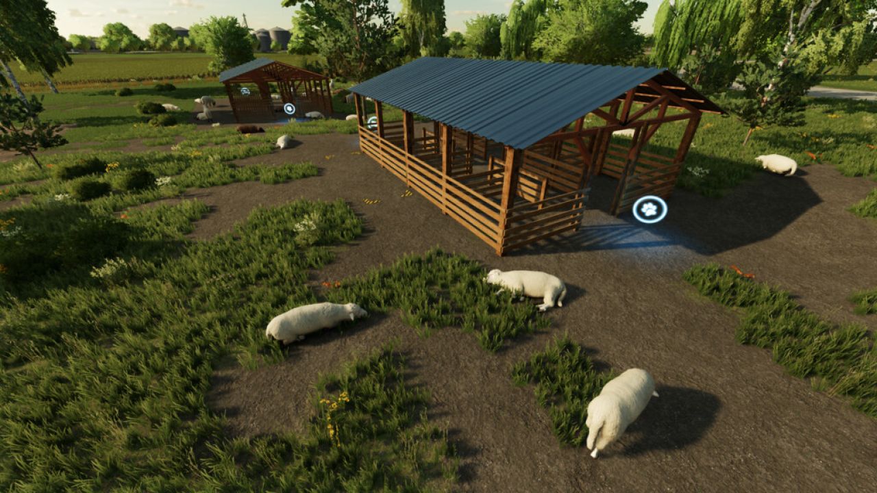 Sheep Shed