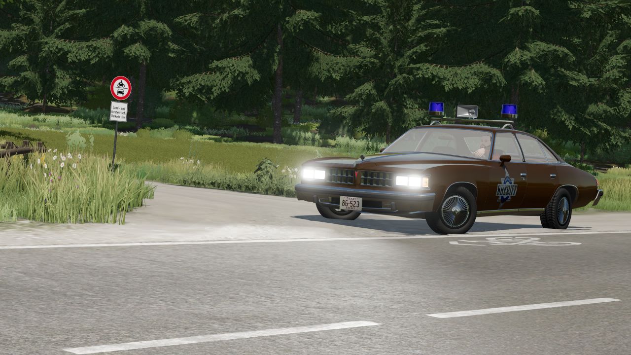 Sheriff's car "Smokey And The Bandit"