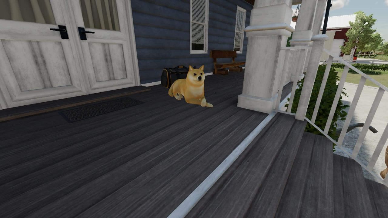 Cachorro Shiba Inu "Doge Coin"