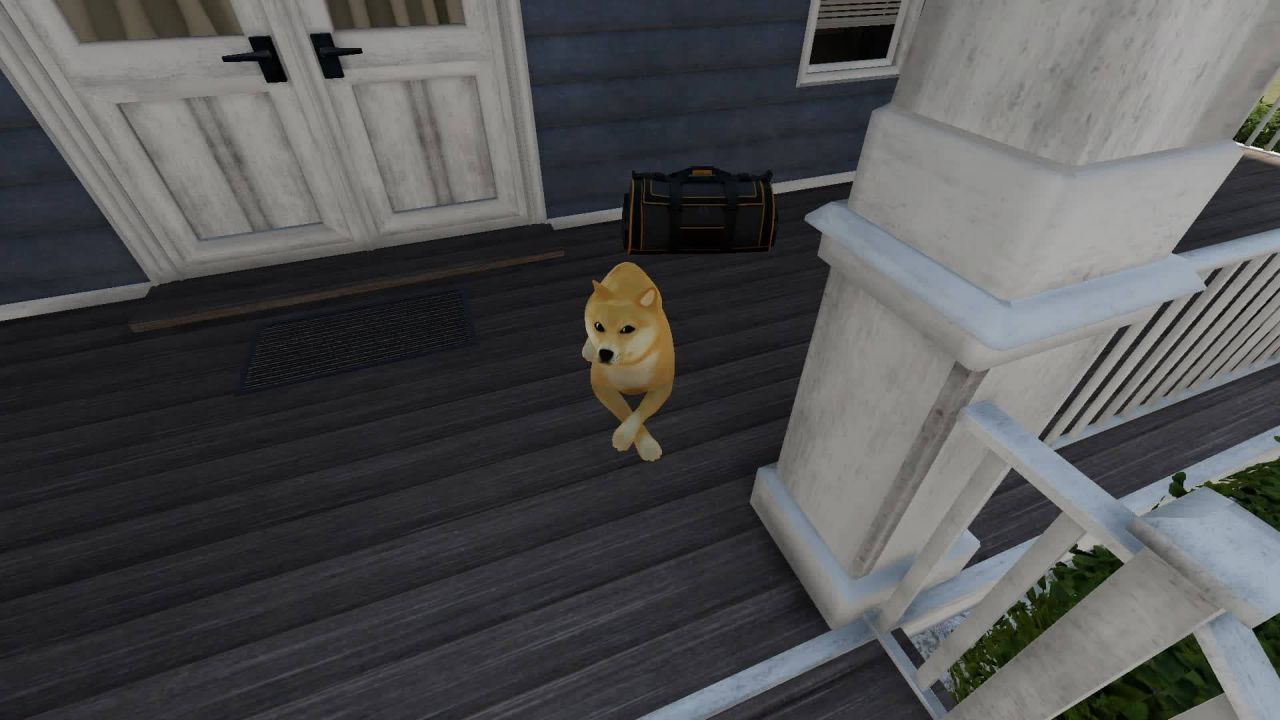 Cachorro Shiba Inu "Doge Coin"