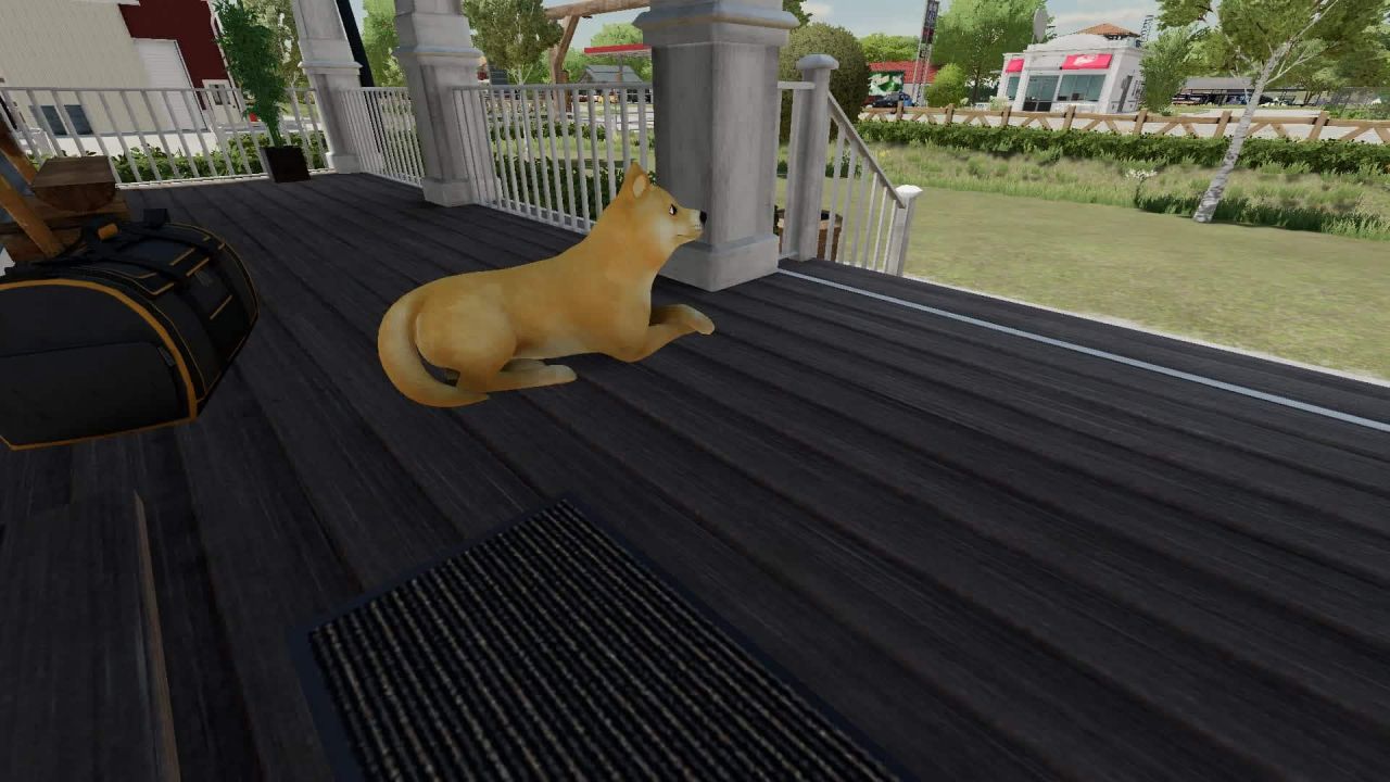 Cachorro Shiba Inu "Doge Coin"