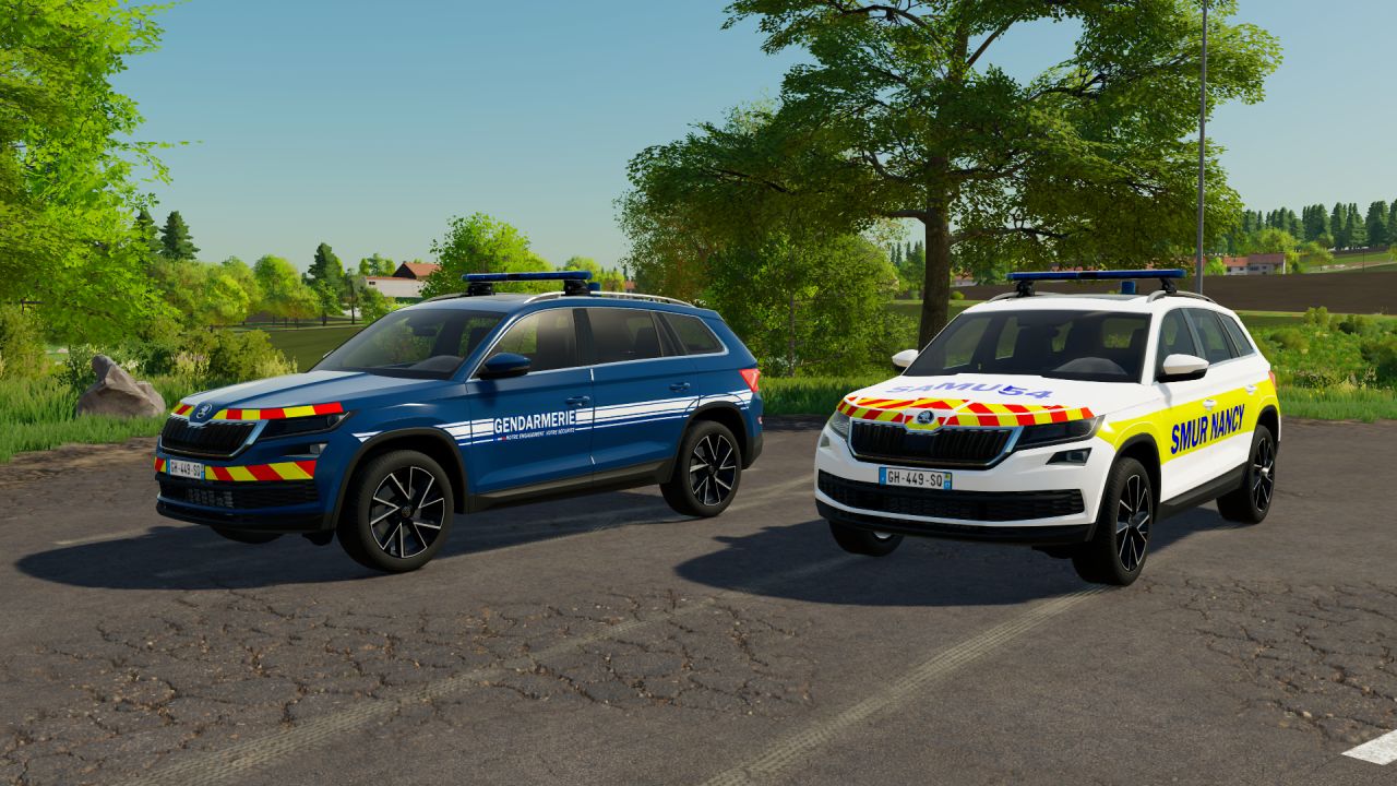 Skoda Kodiaq 2019 (Secours)