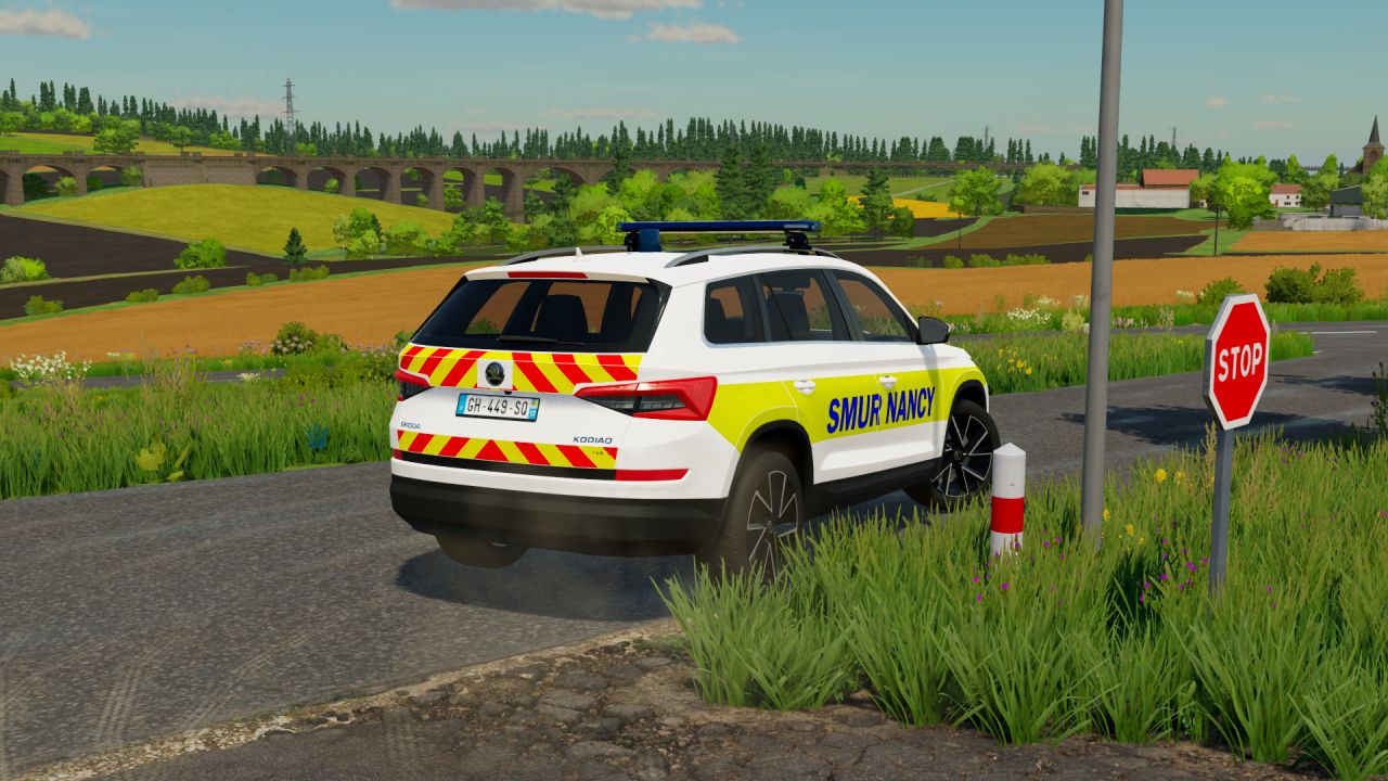 Skoda Kodiaq 2019 (Secours)