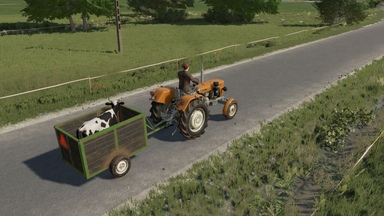 Small Animal Trailer