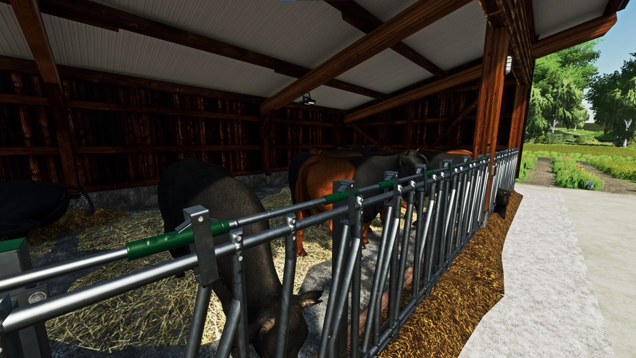 Small cattle barn with manual manure removal