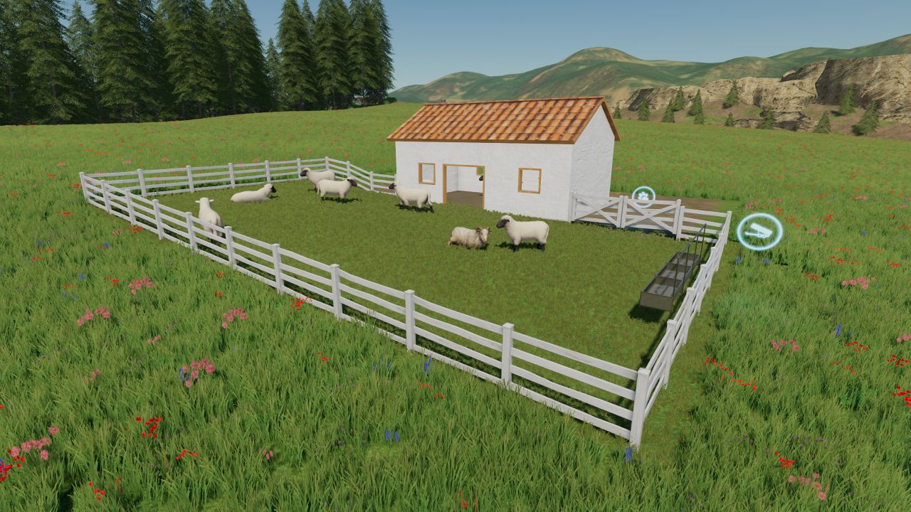 Small pasture for sheep