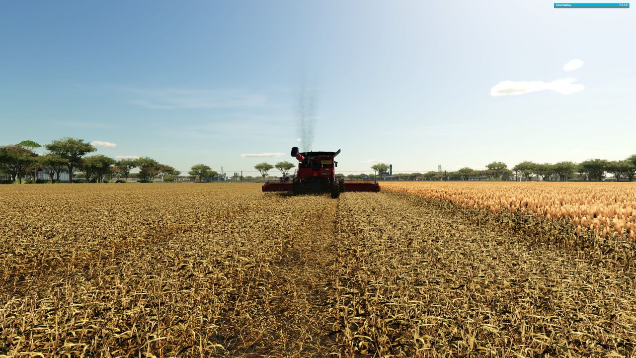 Folhagem de sorgo e girassóis