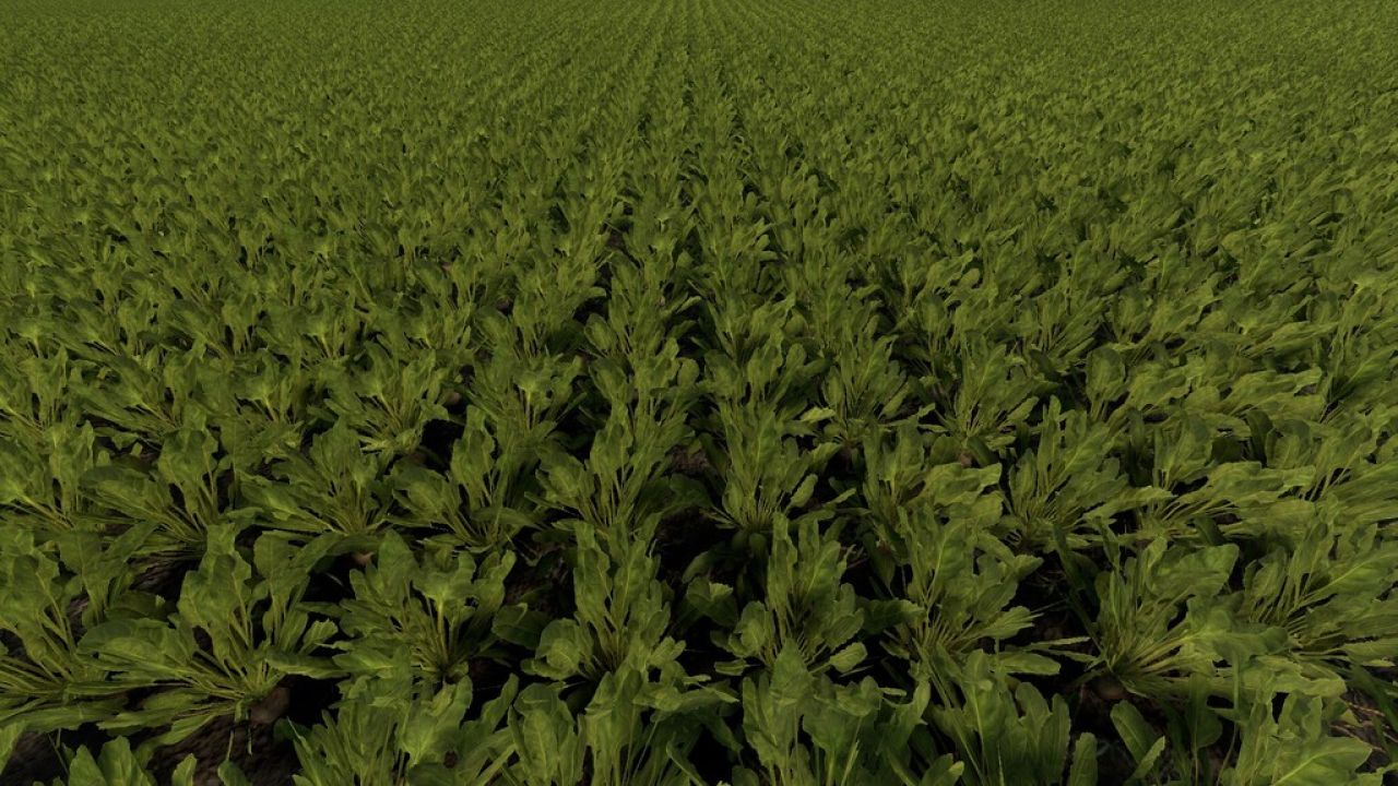 Sugarbeet Spacing Changed (Prefab)