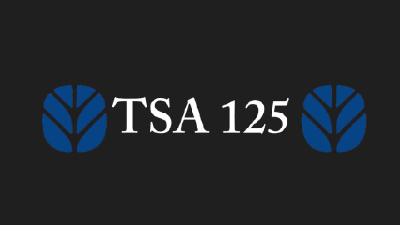 TS135 Window Sticker (.dds file)