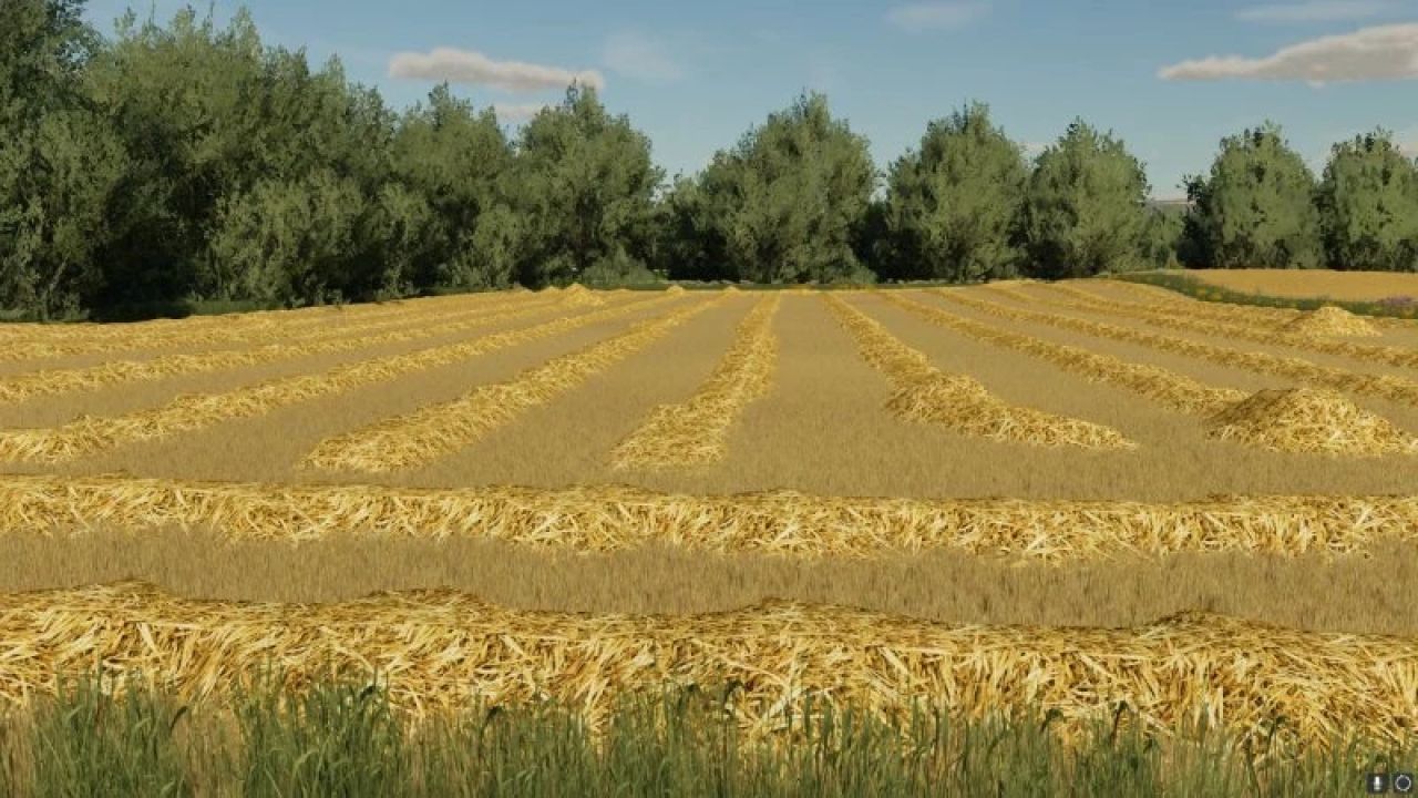 Tiras largas de palha