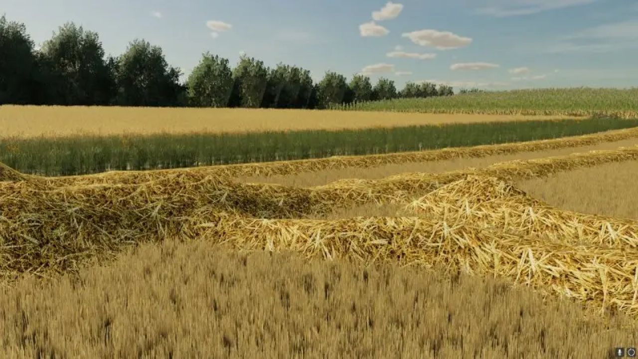 Wide strips of straw