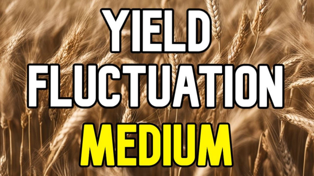 Yield Fluctuation