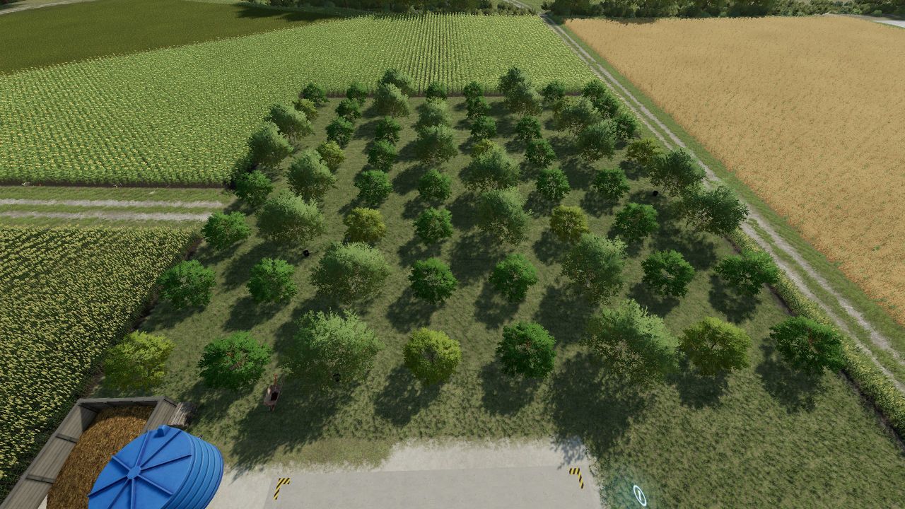 Fruit Orchard redone