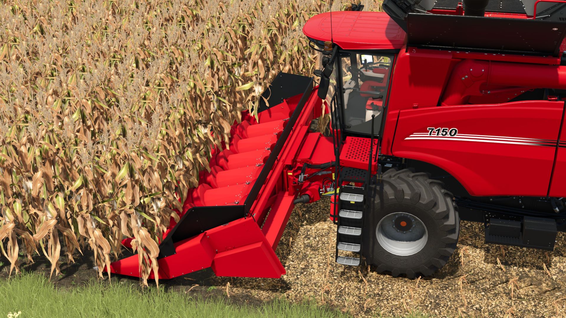 Case IH 1000 Serisi Mısır Kafaları