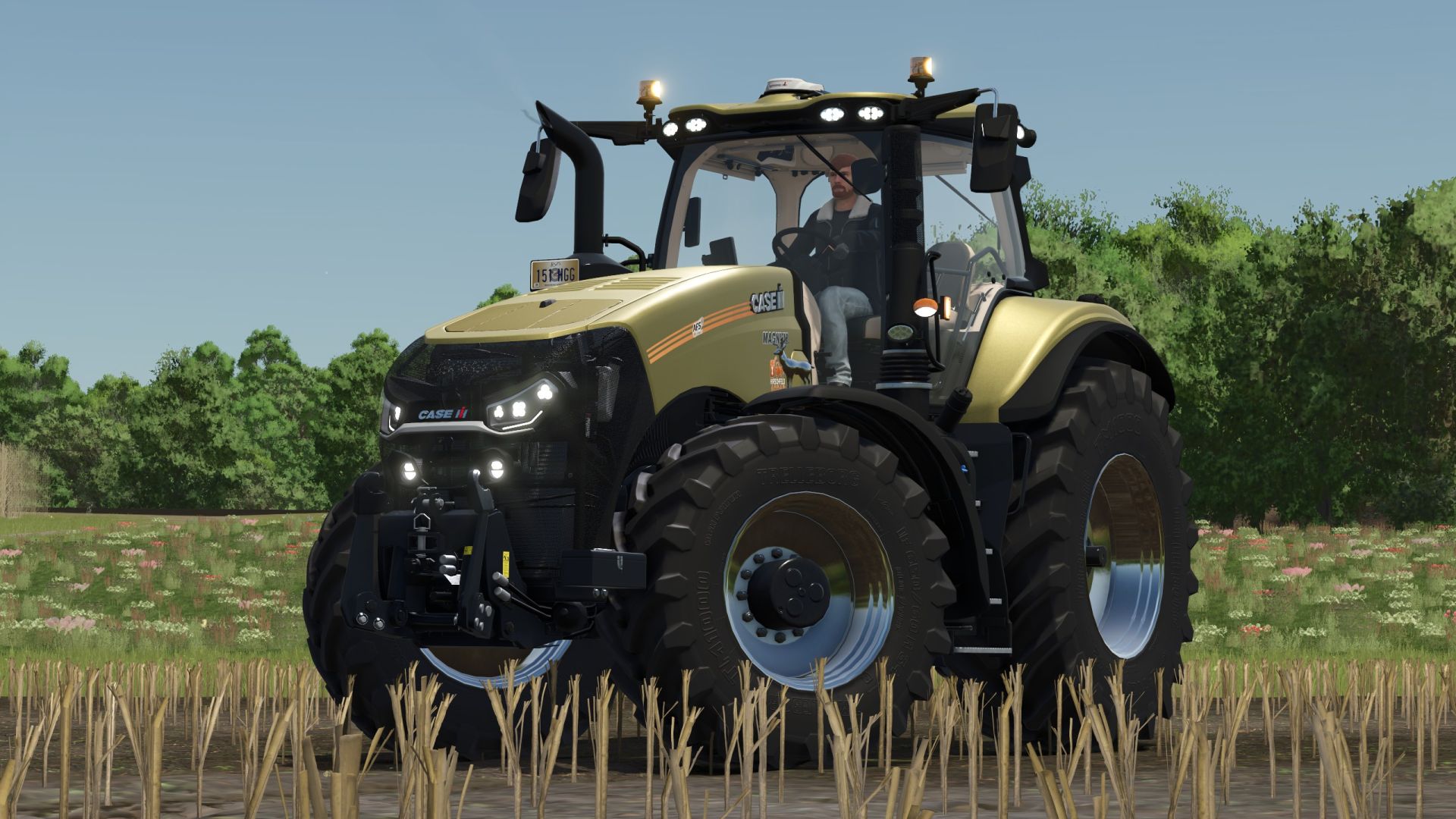 Case IH Magnum Edit