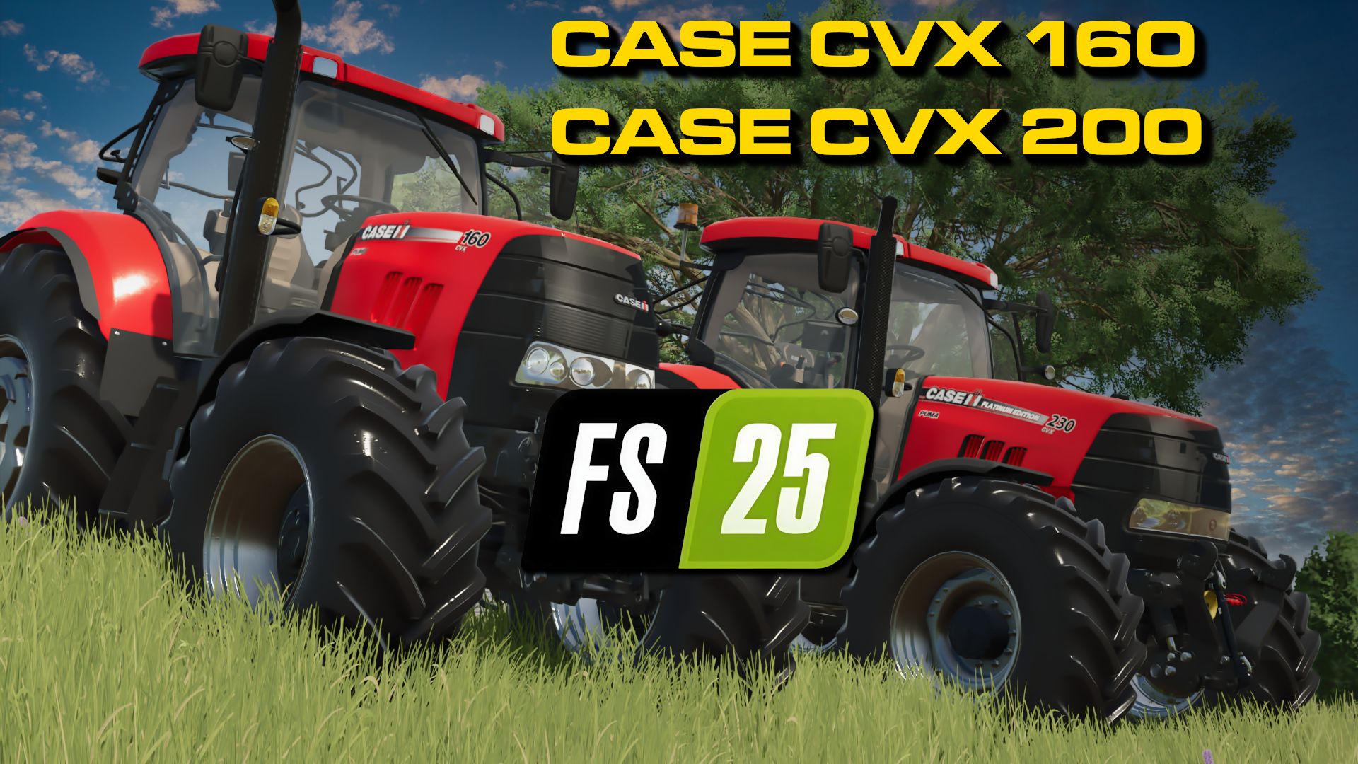 Case IH Puma CVX 2014