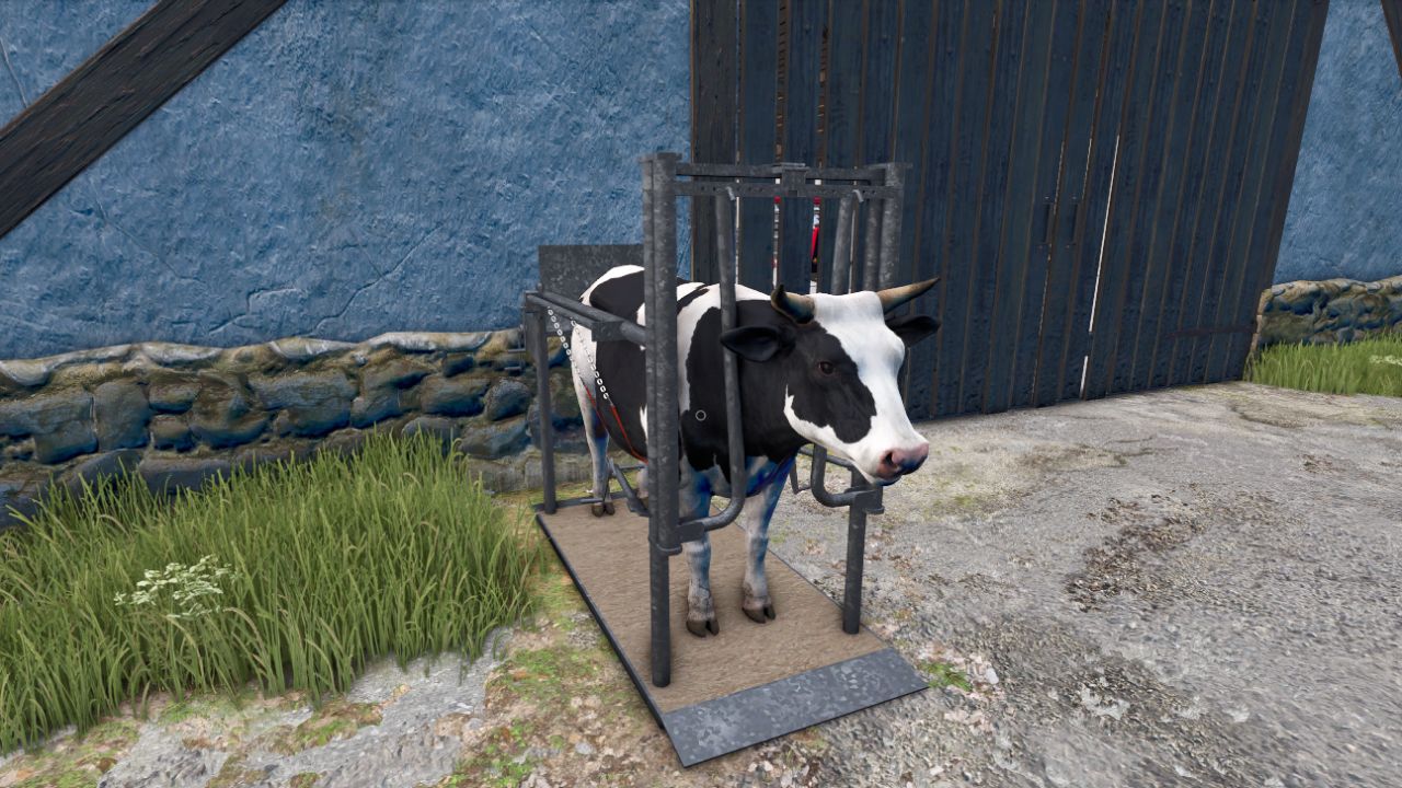 Cow care station