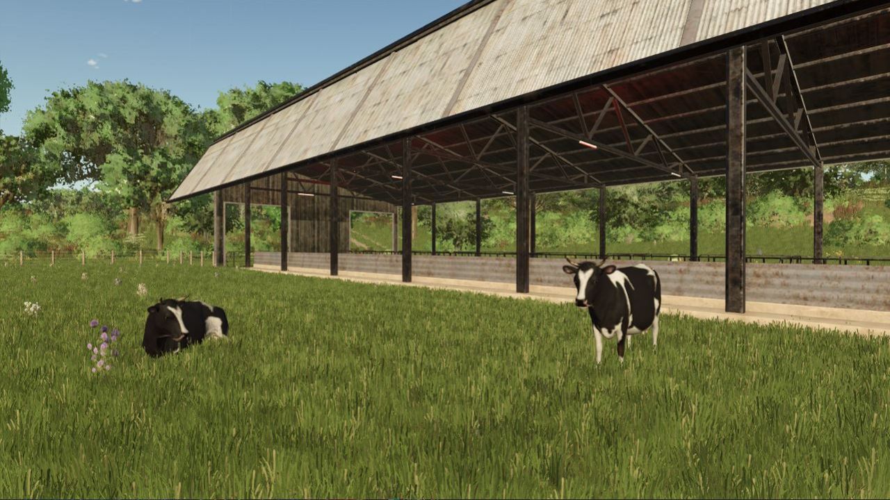 Enclosure for 150 dairy cows