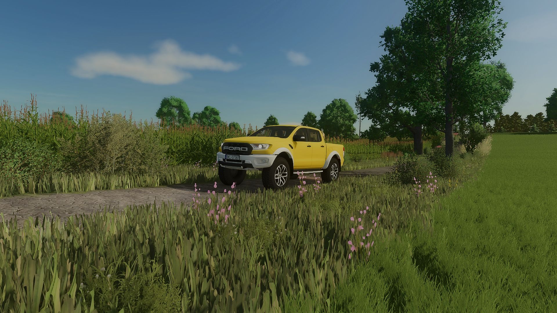 Ford Raptor 4x4