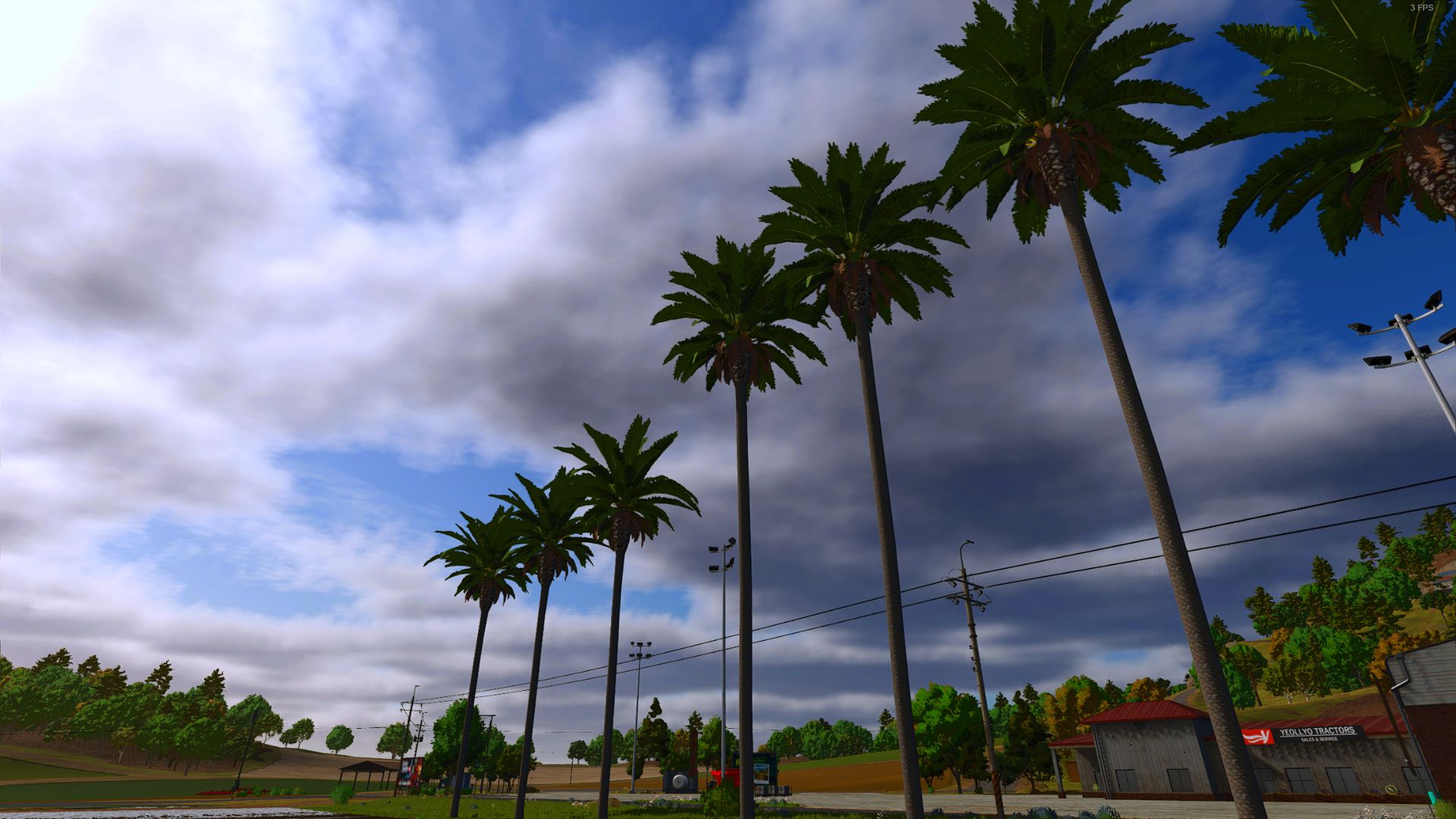 Palm tree pack