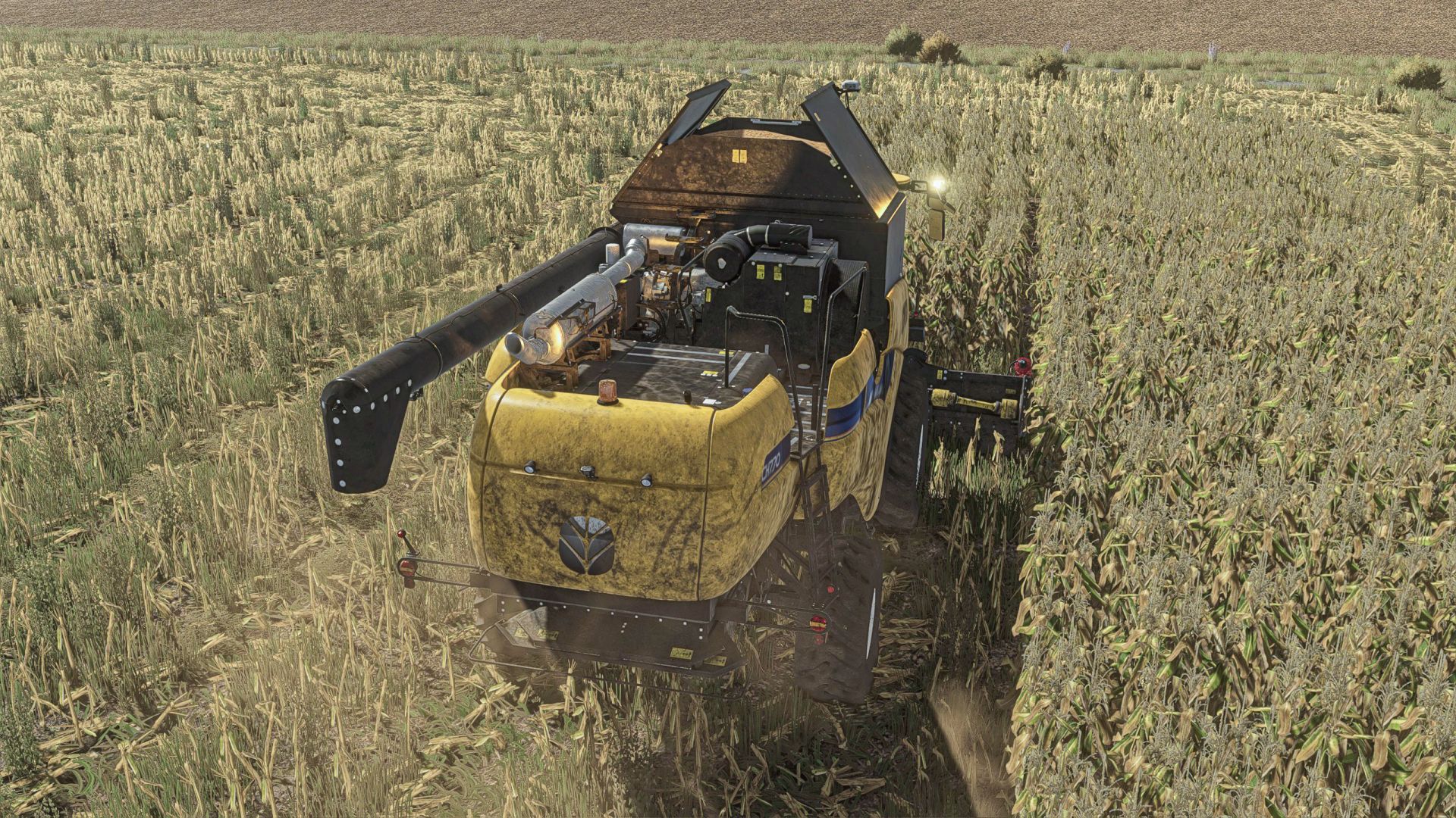 Realistic Maize Texture