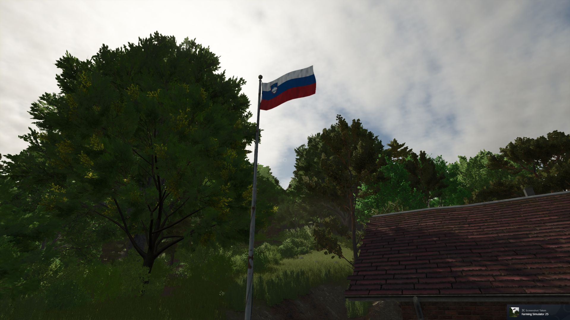 Slovenian Flag