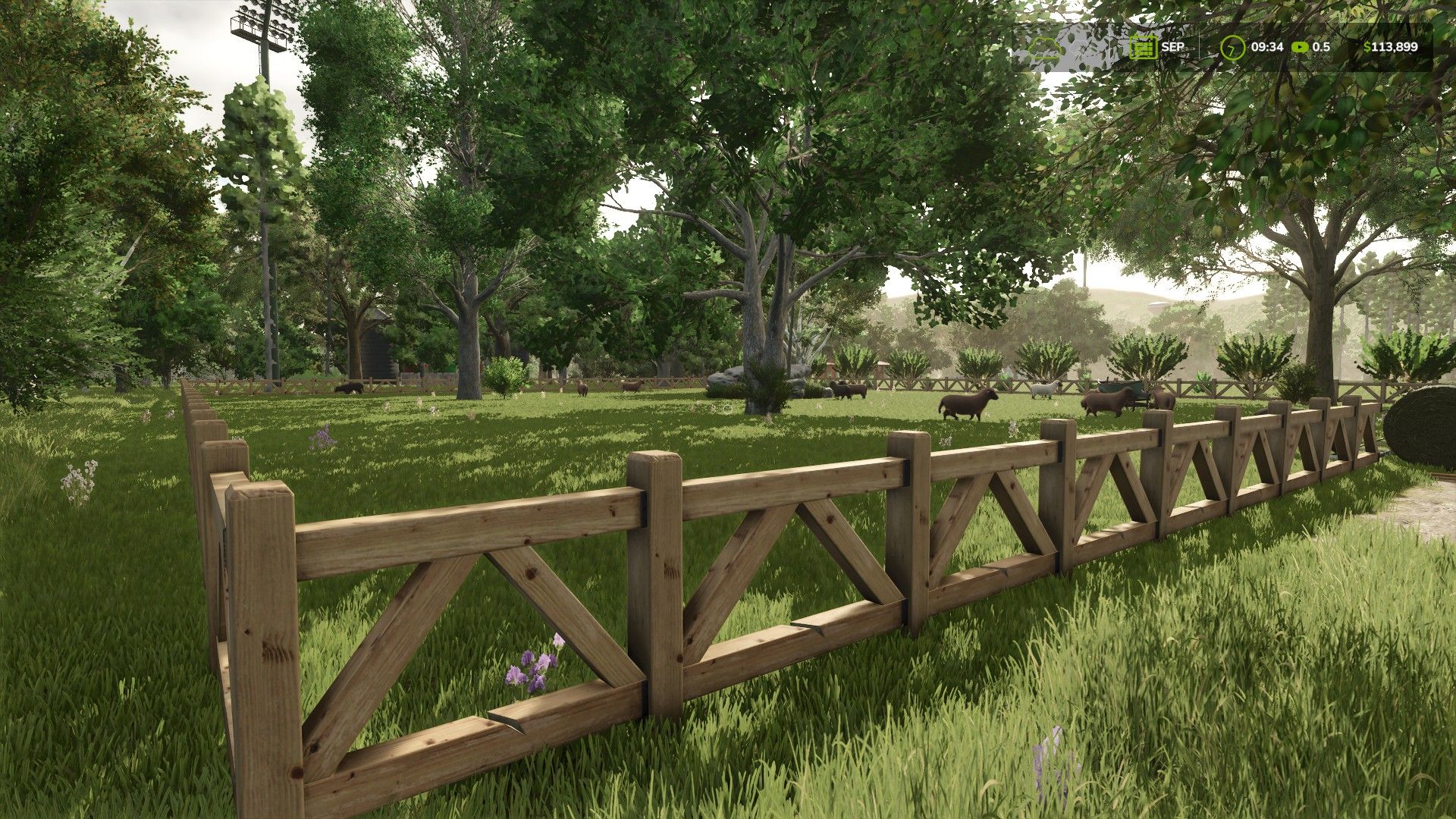 Small Sheep & Goat Pasture with Wooden Fence