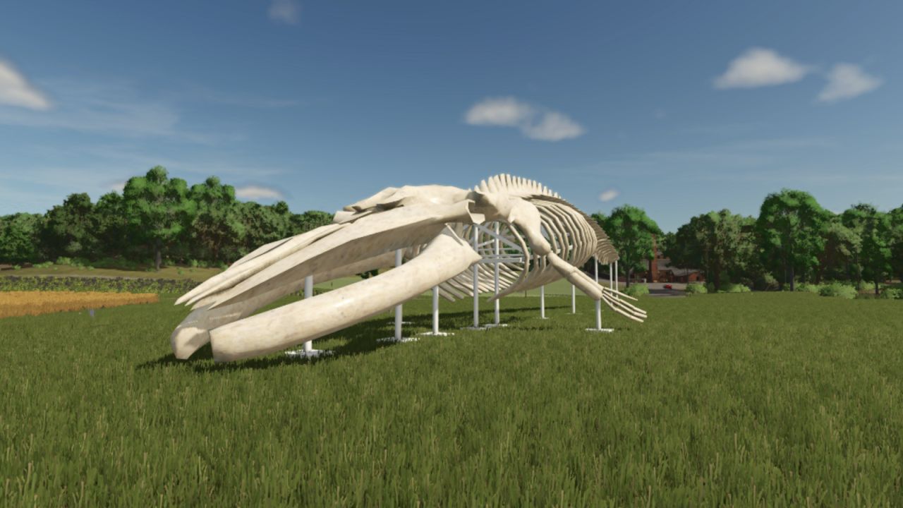 Whale Skeleton Sculpture