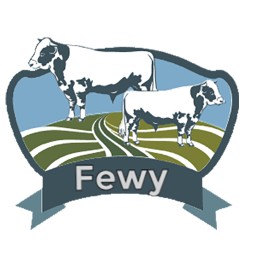 Fewy