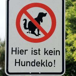 HD SchieteBueddl